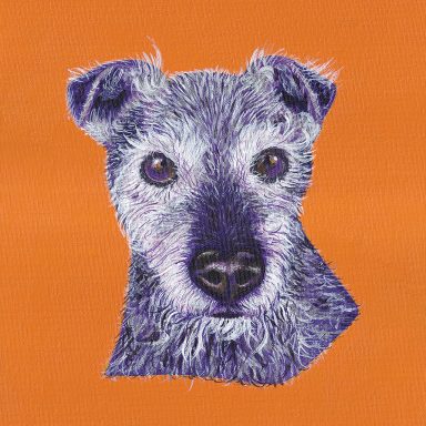 My Sunrise, Zed the Patterdale Terrier My elderly Patterdale, Zed, painted in acrylic on a tangerine background