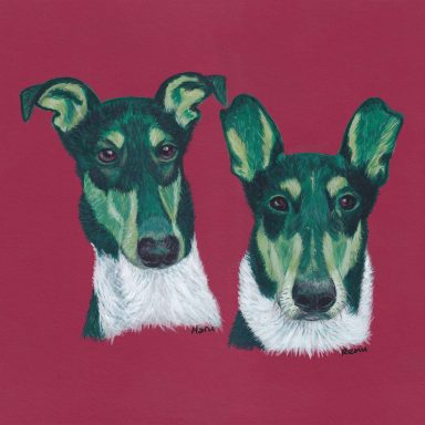 Haru and Remu Brothers from Finland Haru and Remi Smooth Coat Collies