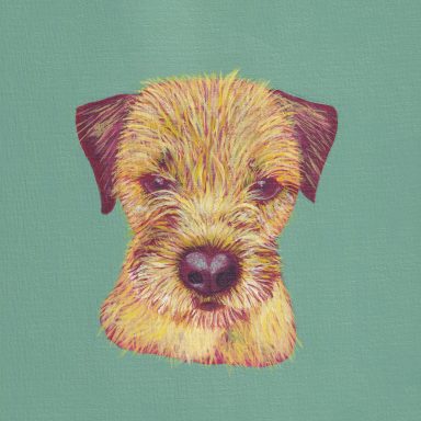 Mylo, Our Border Terrier Instagram Friend Mylo Border Terrier Portrait Yellow Ochre and Green Background