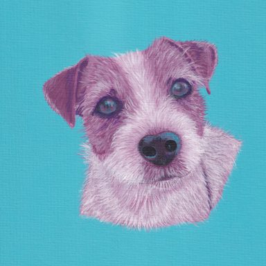 Ciero, My Parson Russell Terrier Friend A Parsons Russell Terrier Portrait in Plum and Teal.