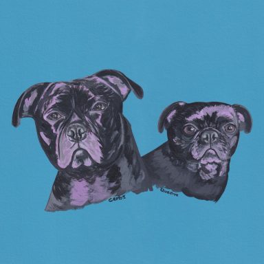 Cerbs and Queenie "Pick 'n Mix" My Two Pugs Frenchie Cross Cousins