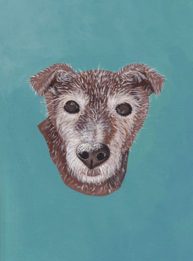 Sweet Chocolate Zed my Patterdale Terrier Dog Portrait Painting of my Patterdale Terrier Zed, in Chocolate brown on a teal background.