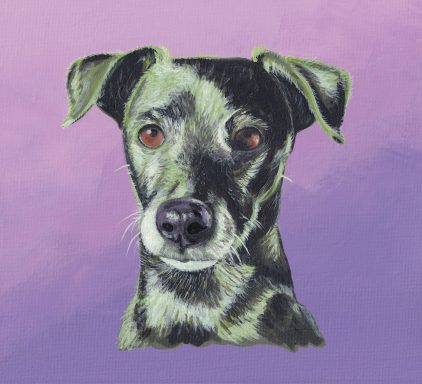 Doris 'is that a custard cream'? Patterdale Terrier in black and green on a lilac graduated background