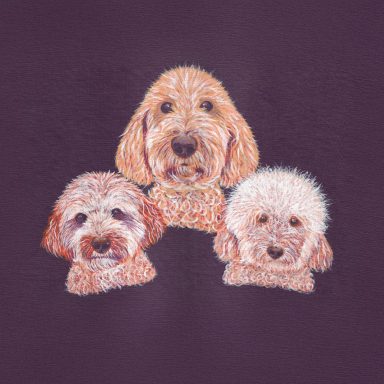 Tangerine Trio, Teddy, Benji, Bon Bon A family of three dog portraits in tangerine with a purple background